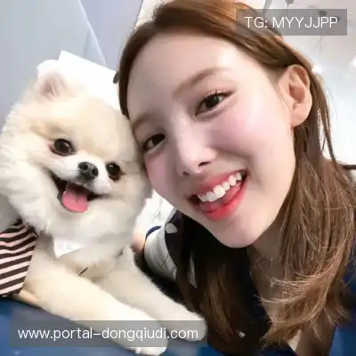 戴文